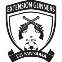 एक्सटेंशन गनर्स