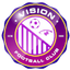 Vision FC