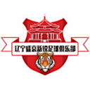 Liaoning Shengjing Xinrui
