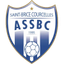 Santo Brice