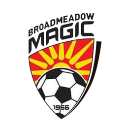 برودميدو ماجيك