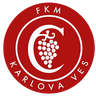 Karlova Ves U19