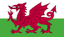 Wales U21