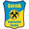 Gornik Bobrowniki Slanskie