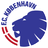 FC Kobenhavn Youth