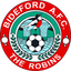 Bideford AFC
