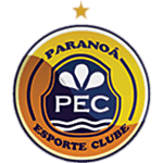 Pemuda Paranoa