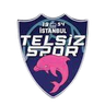Telsizspor (W)
