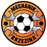 Mekanik Brzezina