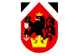 TJ Postrelmov