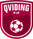Qviding FIF
