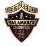 Klub Petroleros de Salamanca