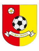 TJ Malinovo