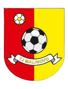 TJ Malinovo