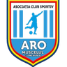 ARO Muscelul Campulung