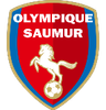 Saumur OL