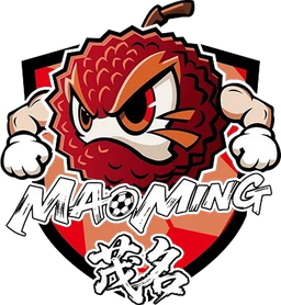 Maoming Team