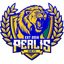 Perlis GSA FC