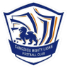 Cangzhou Mighty Lions