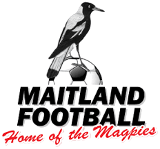 माइटलैंड एफसी महिलाएं