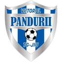 ACS Viitorul Pandurii Targu Jiu
