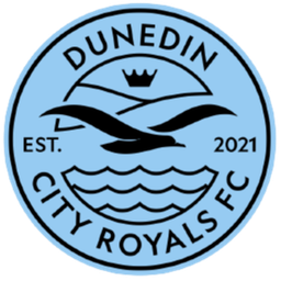 Kerajaan Kota Dunedin