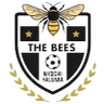 The Bees FC