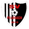 SV Feldbach