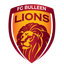 Singa Bulleen FC