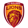 Singa Bulleen FC