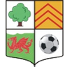 Llwydcoed