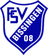 FSV 08 Bissingen