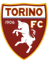 Torino Under 17