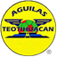 Elang Teotihuacan