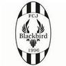 FC Jyvaskyla Blackbird