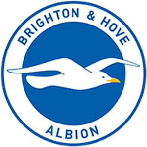 Brighton&Hove Albion