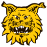 Ilves II (w)