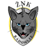 ZNK Radomlje Women