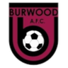 Burwood AFC