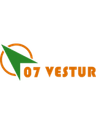 ০৭ ভেস্টুর সোরভাগুর