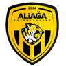 Aliaga Futbol