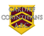 Cardiff Corinthians AFC
