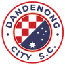 Dandenong City U23