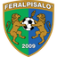 FeralpiSalo U19