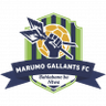 Marumo Gallants FC