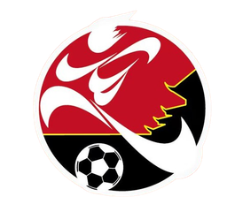 Tim Sepak Bola Desa Gaodong