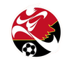 Tim Sepak Bola Desa Gaodong