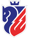 FC Botosani