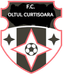 Oltul Curtisoara