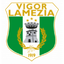 Vigor Lamezia U19
